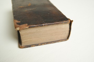 Den Catholieken Pedagoge, ofte Christelyken Onderwyser in den Catechismus – Bossche P. Petrus Vanden - 10e dr. - 1767