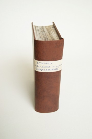 Synopsis dat is Kort Begryp der Heilige Godgeleertheid - Franciscus Burmannus - 1697