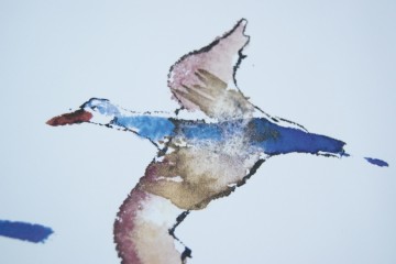 Schaal - vierkant met vogels - Maya Wildevuur – Limited Edition – KLPD - 2002