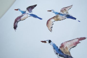 Schaal - vierkant met vogels - Maya Wildevuur – Limited Edition – KLPD - 2002