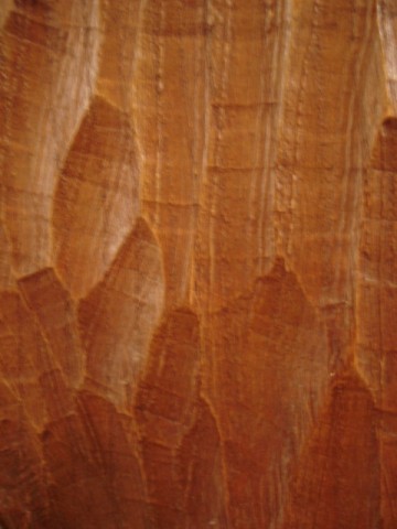 Houtsnijwerk in paneel van vrouwelijk schoon - 20e eeuw