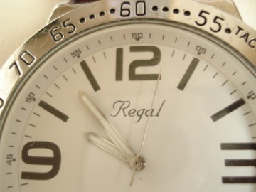 Nieuw Herenhorloge – merk Regal